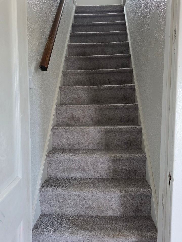 2641 Alter Rd - Photo 6 of 14