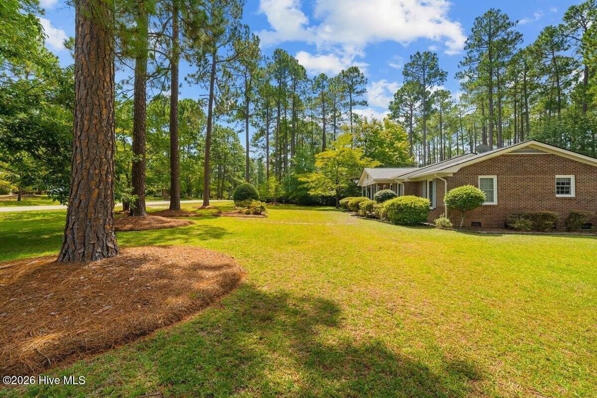1003 Robinwood Rd - Photo 3 of 29