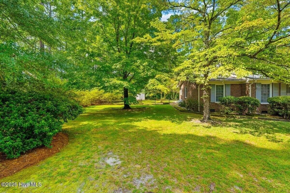 1003 Robinwood Rd - Photo 4 of 29