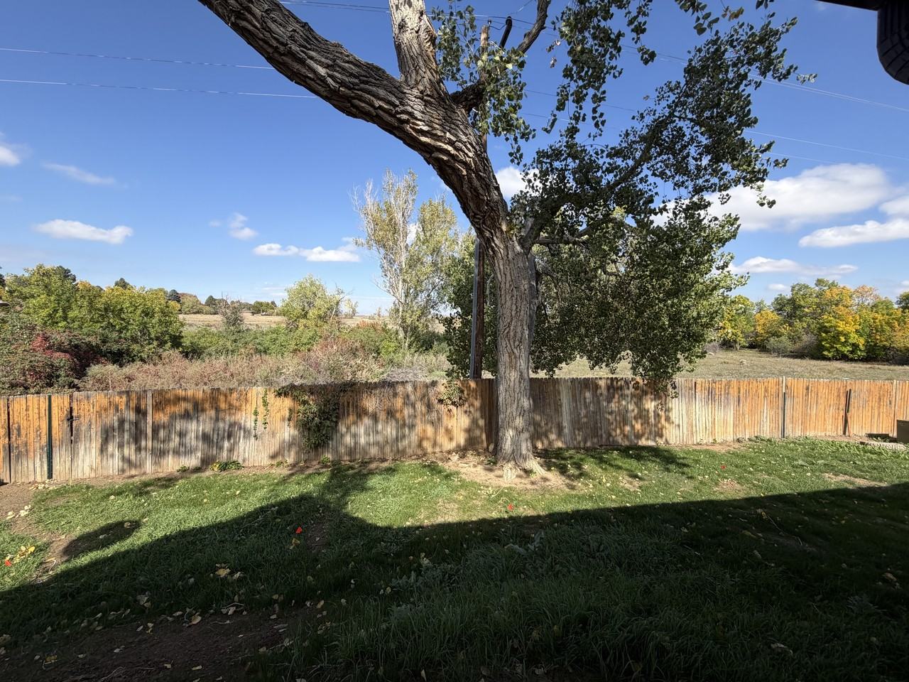 11189 E Cimmarron Dr - Photo 5 of 18