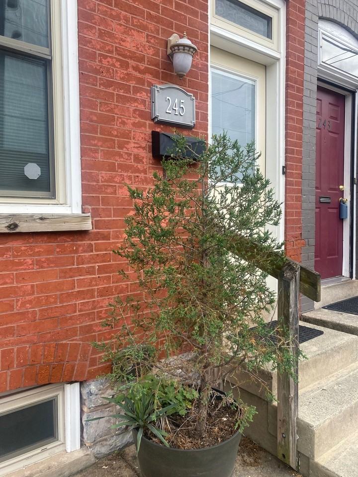 245 N Marshall St - Photo 2 of 21