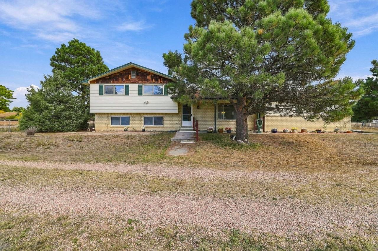 1653 Cragin Rd - Photo 3 of 45