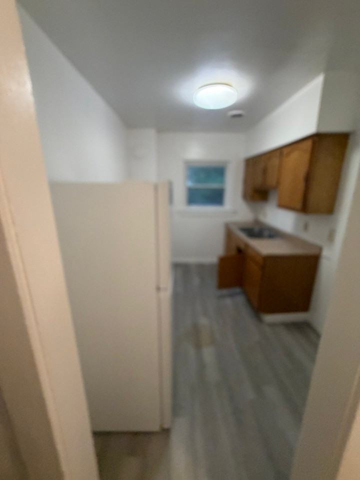 1338 E 125th St #1-3-4 - Photo 5 of 19