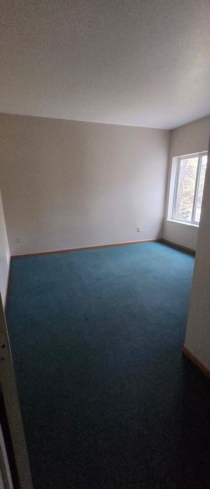 381 5th Ave S #4 - Photo 6 of 13