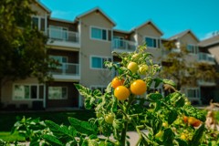 Conter Estates New - Photo 1 of 1