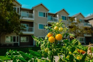 featured image of 6600 E 60th Pl
