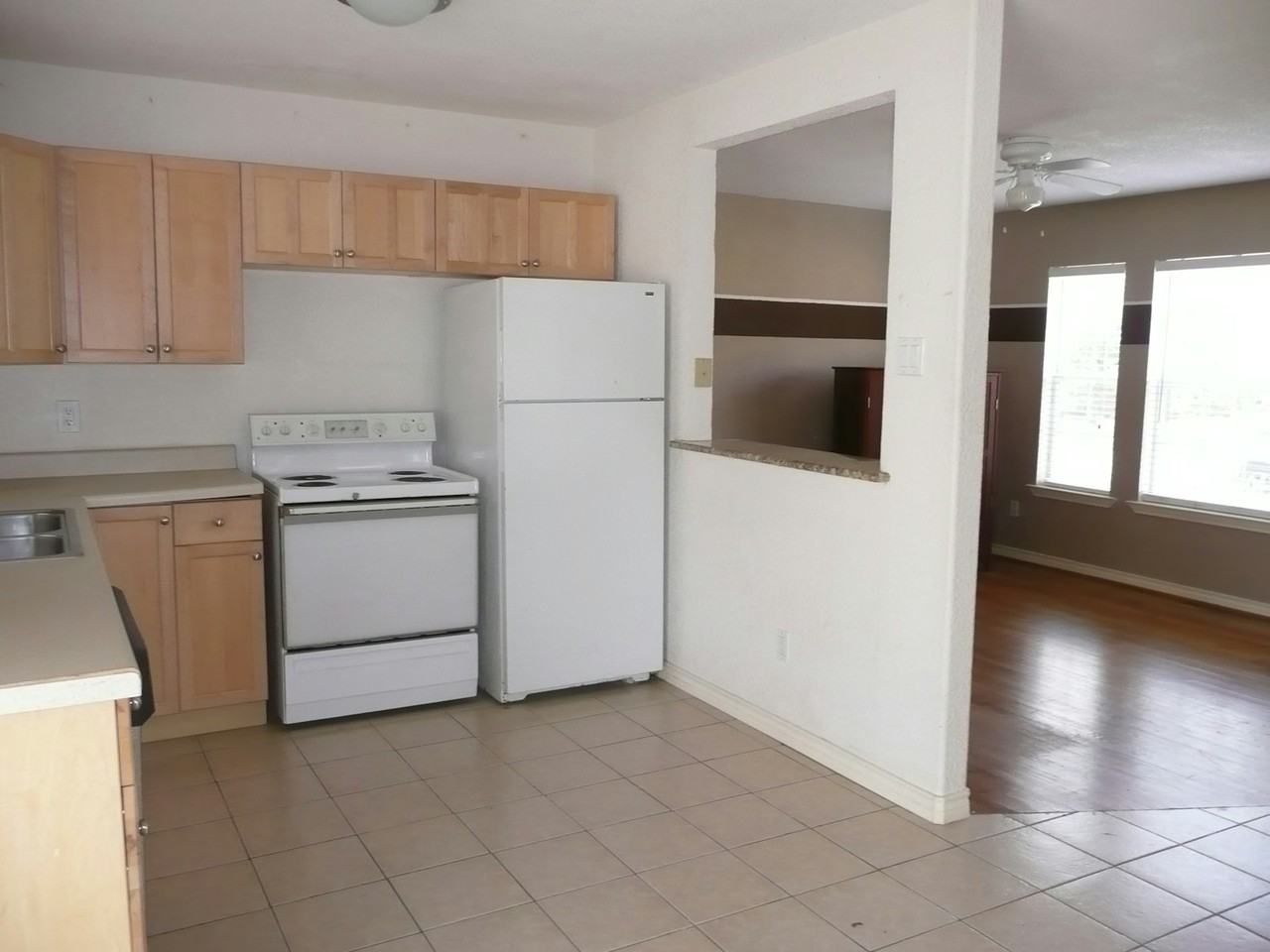 11132 Castolon Drive - Photo 3 of 7