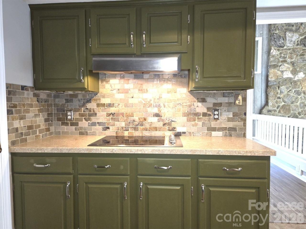 4236 Burning Tree Dr - Photo 4 of 20