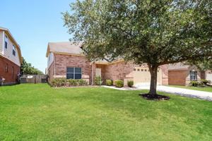 featured image of Sunny Gallop Dr