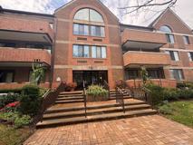 10 Canterbury Rd #1 - Photo 1 of 1