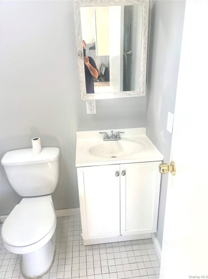 135 New Hyde Park Rd - Photo 4 of 12