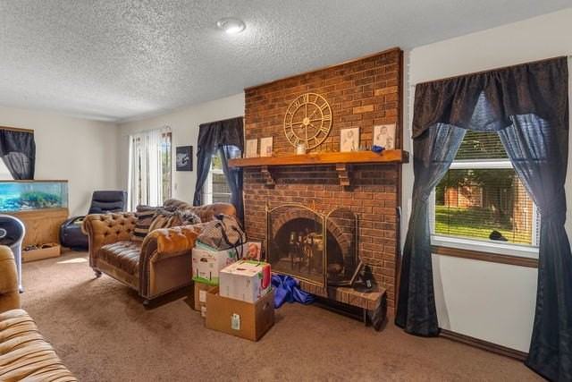 920 Autumn Ln - Photo 5 of 11