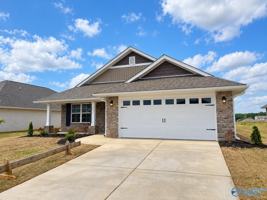 featured image of 213 Alonzo Toney Dr