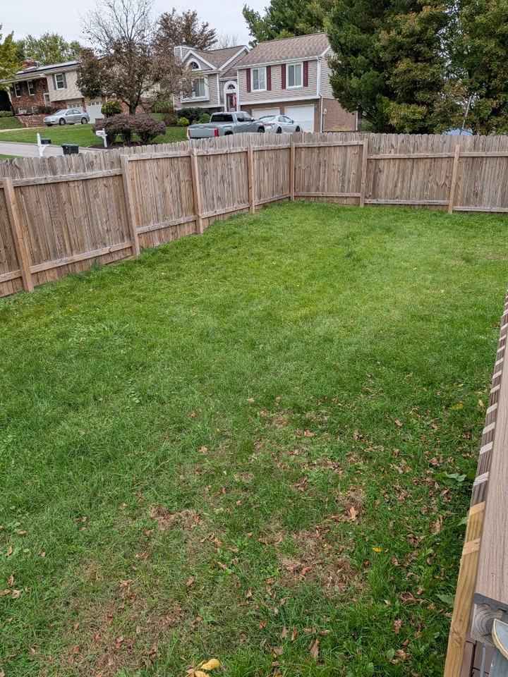 114 Briar Path - Photo 5 of 14
