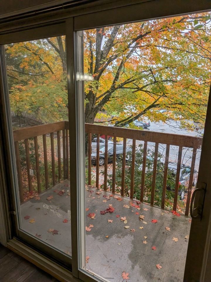 27610 Evergreen Run - Photo 3 of 9