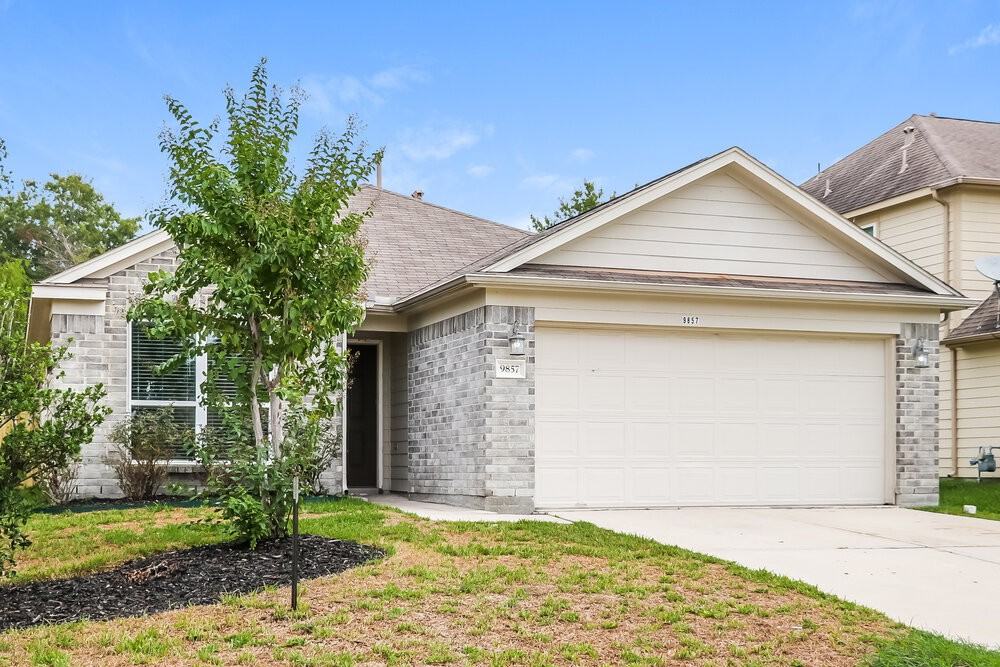 9857 Lace Flower Way - Photo 3 of 16