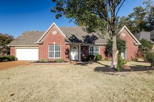 featured image of 3942 Tamara Dr