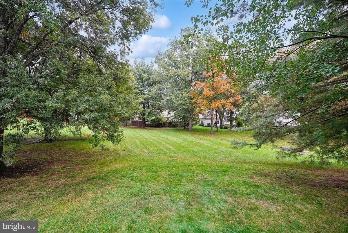 13126 Thornapple Pl - Photo 3 of 49