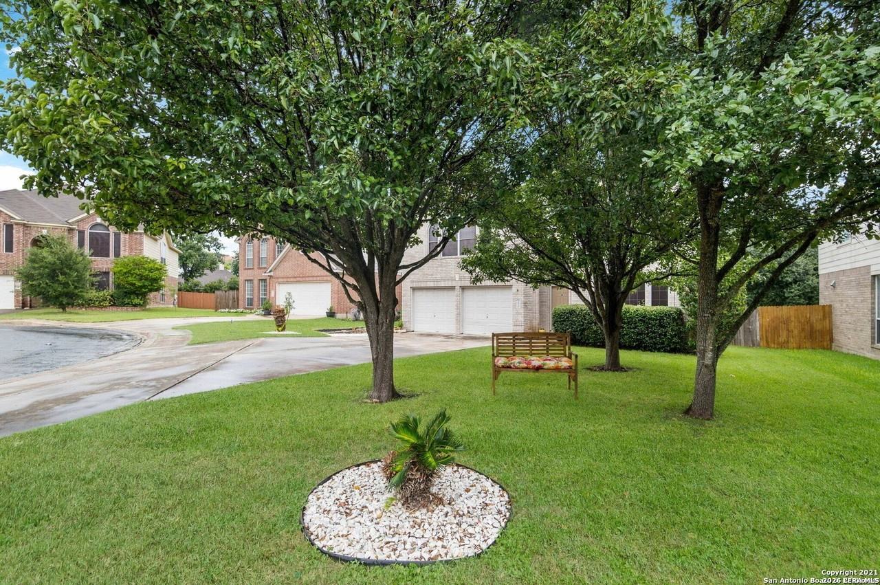 24510 Arrow Tree - Photo 2 of 26