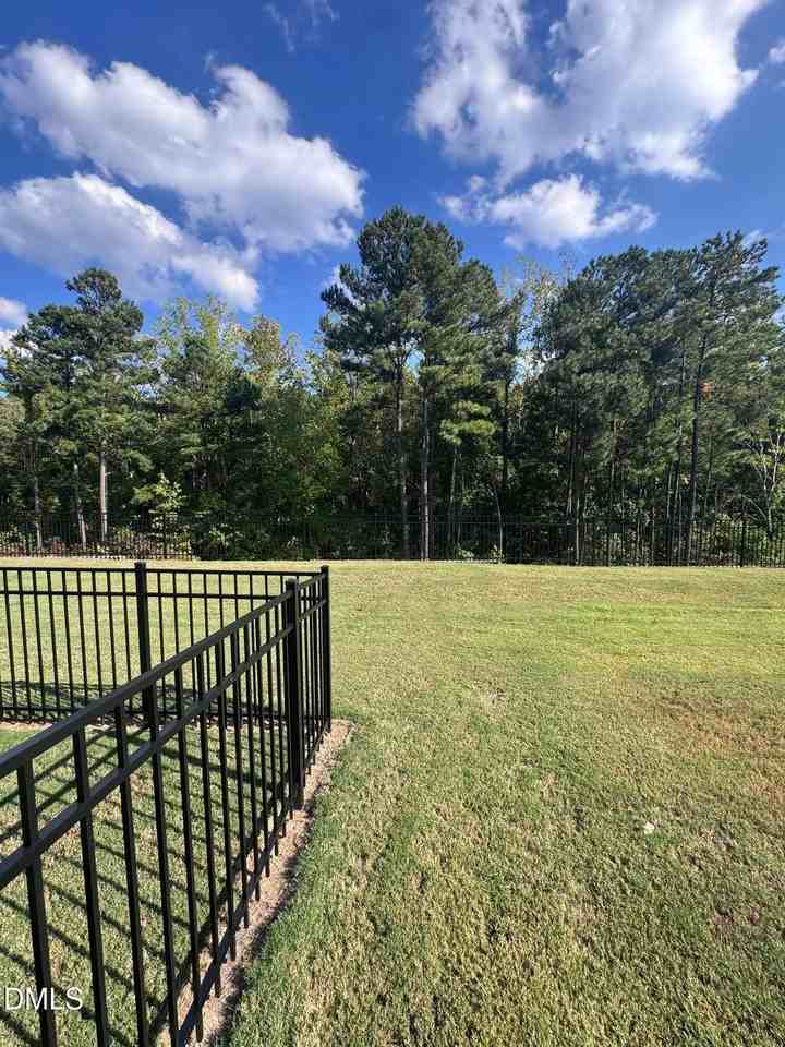 1131 Falling Rock Pl - Photo 4 of 44