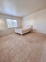 featured image of 17295 Via Del Campo