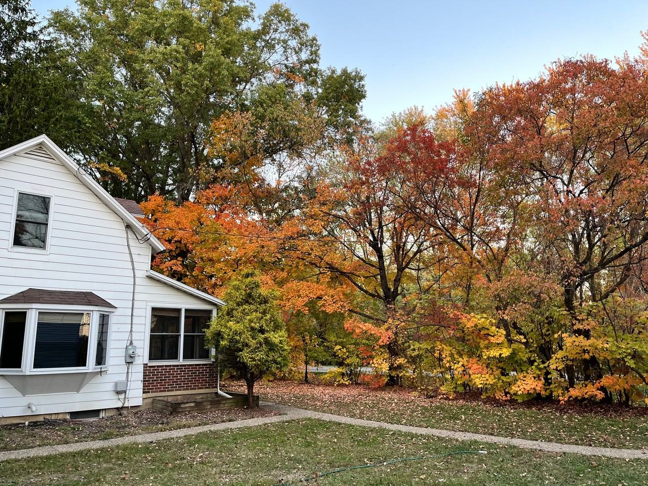 7751 Harlem Rd - Photo 4 of 25