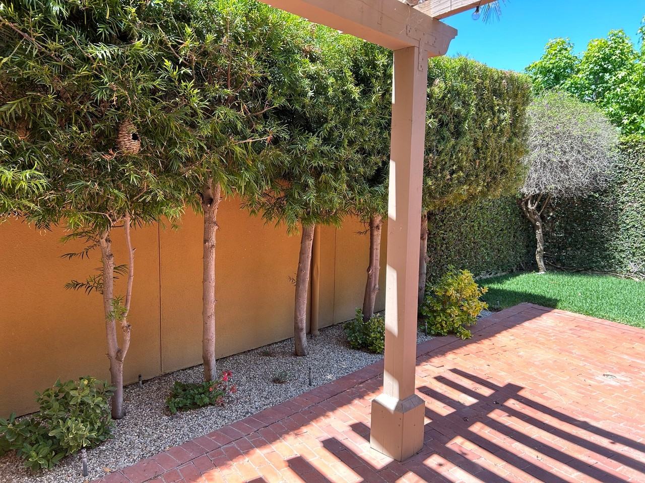 1138 Corte Riviera - Photo 4 of 11