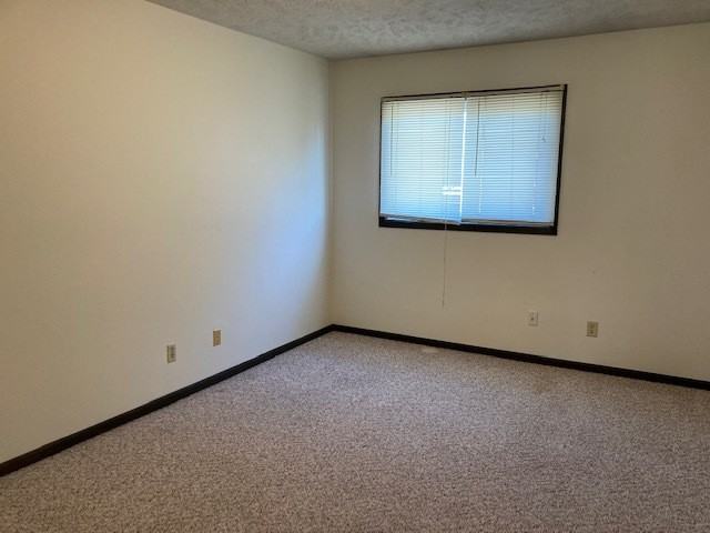 1802 W 38th St - Photo 3 of 8