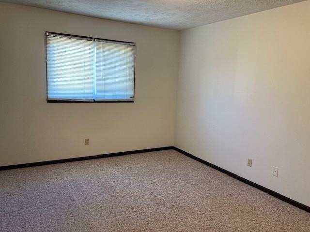 1802 W 38th St - Photo 4 of 8
