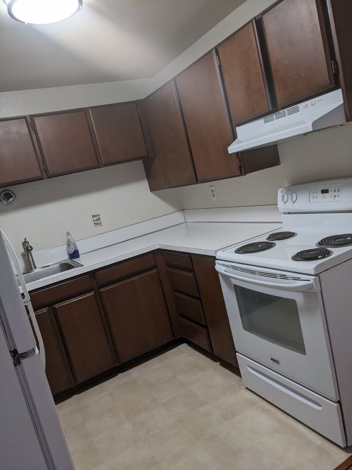 315 13th Avenue East #1 - Photo 4 of 11