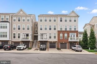 42243 Canary Grass Sq - Photo 1 of 1