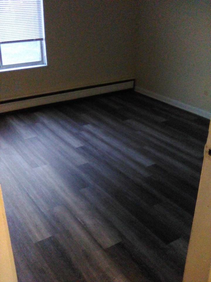 528 Pine St #1 - Photo 4 of 20