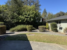 featured image of 323 Spring St