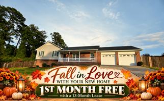 featured image of 229 Lakeside Rd