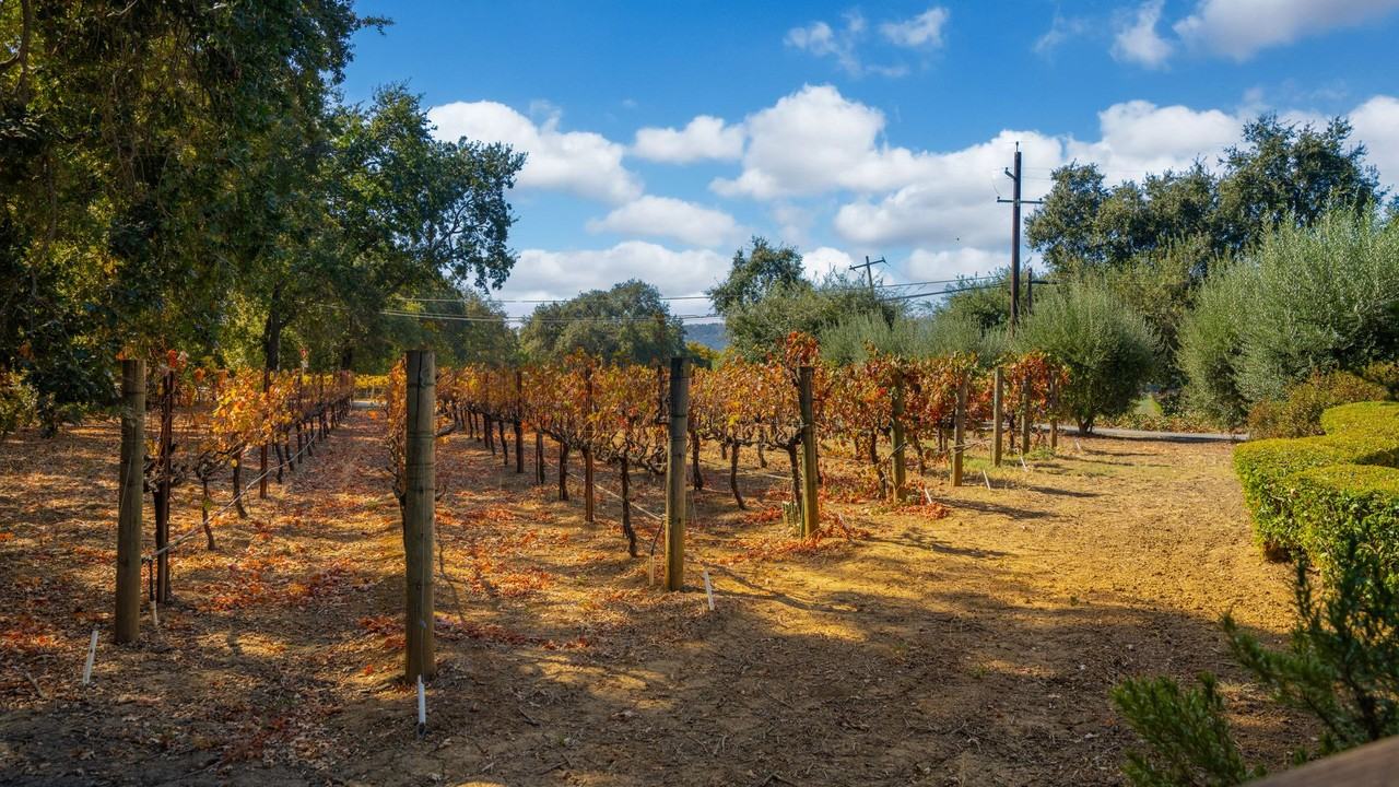 5050 Clayton Rd - Photo 5 of 32