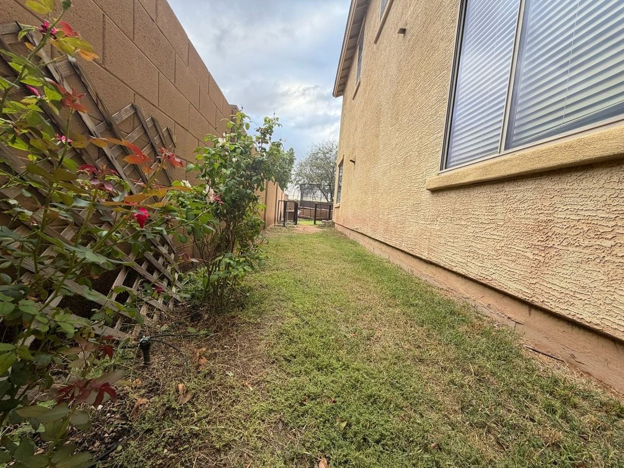 2341 E Alida Trl - Photo 6 of 50