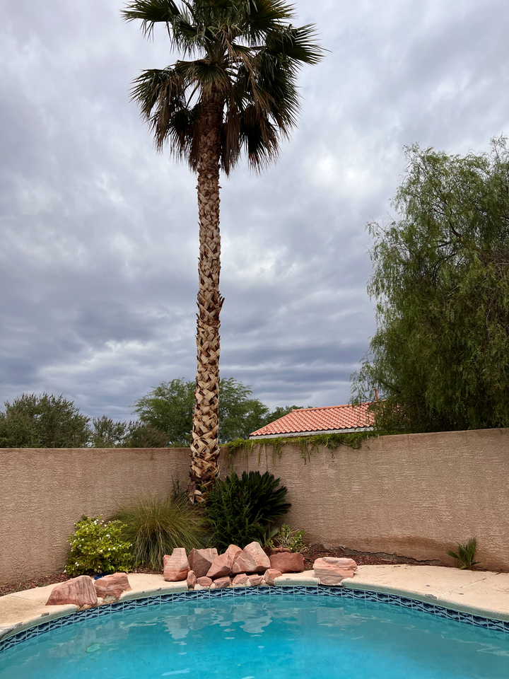 2286 Chestnut Bluffs Ave #NA - Photo 7 of 10