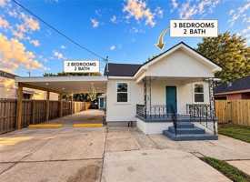 featured image of Ligustrum St