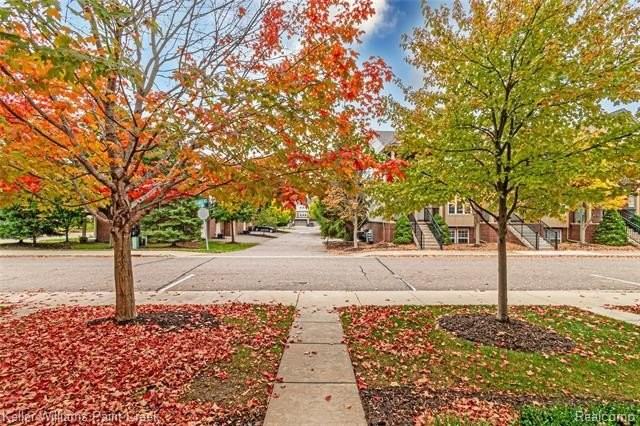 27848 Hopkins Dr - Photo 6 of 50