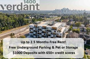 Verdant at Bow Trail - Photo 1 of 1