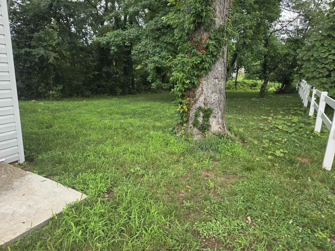 605B Grove St #605B - Photo 2 of 15