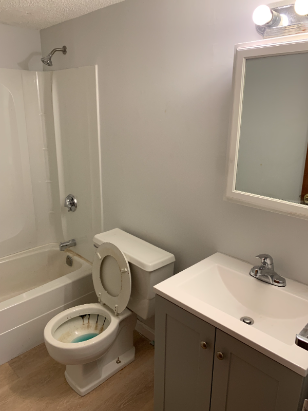136 George St #7 - Photo 4 of 8