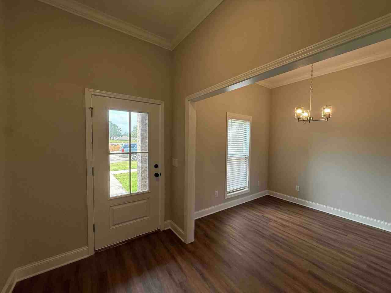 556 Patrick Farms Dr - Photo 4 of 19