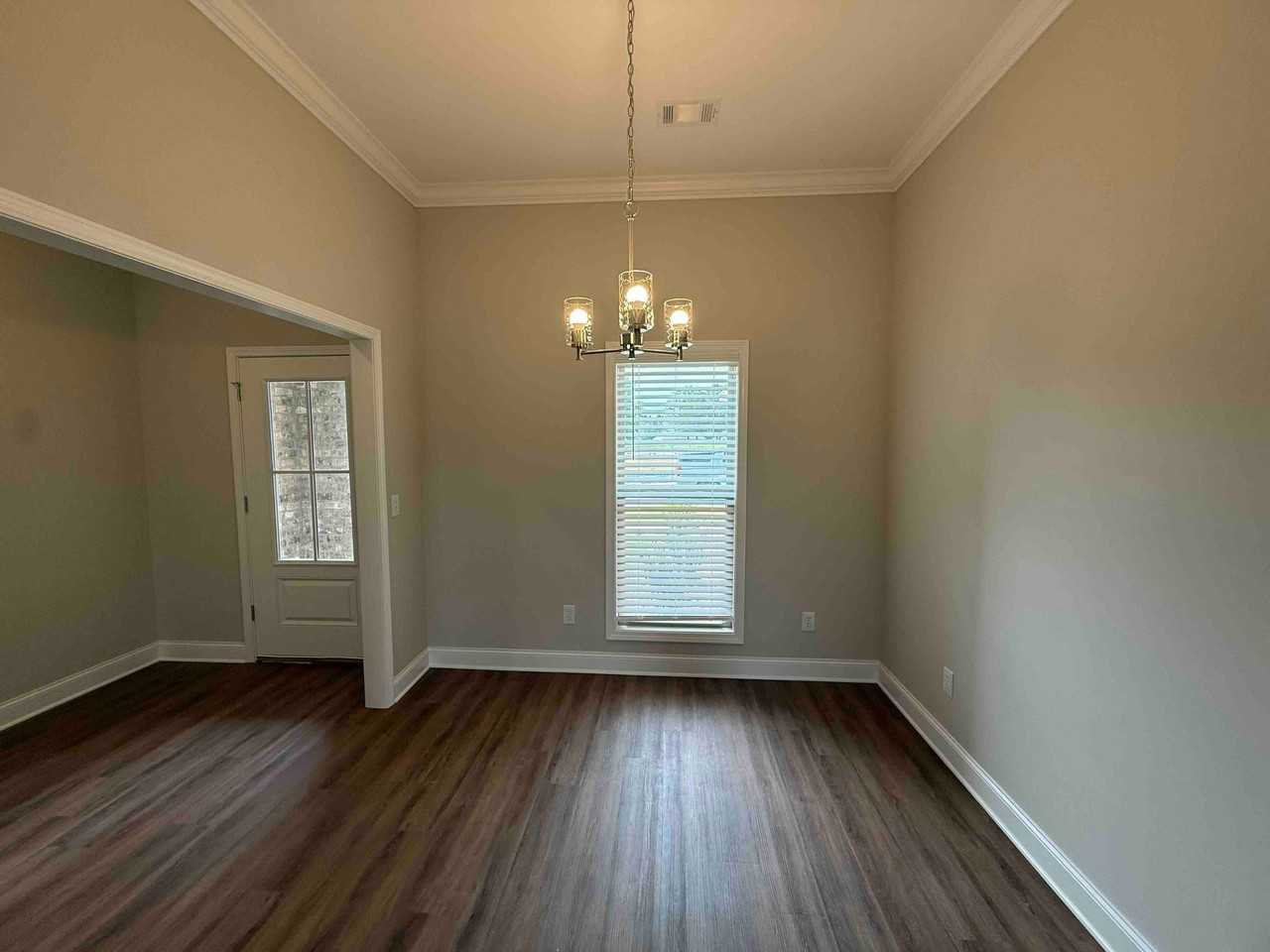 556 Patrick Farms Dr - Photo 5 of 19