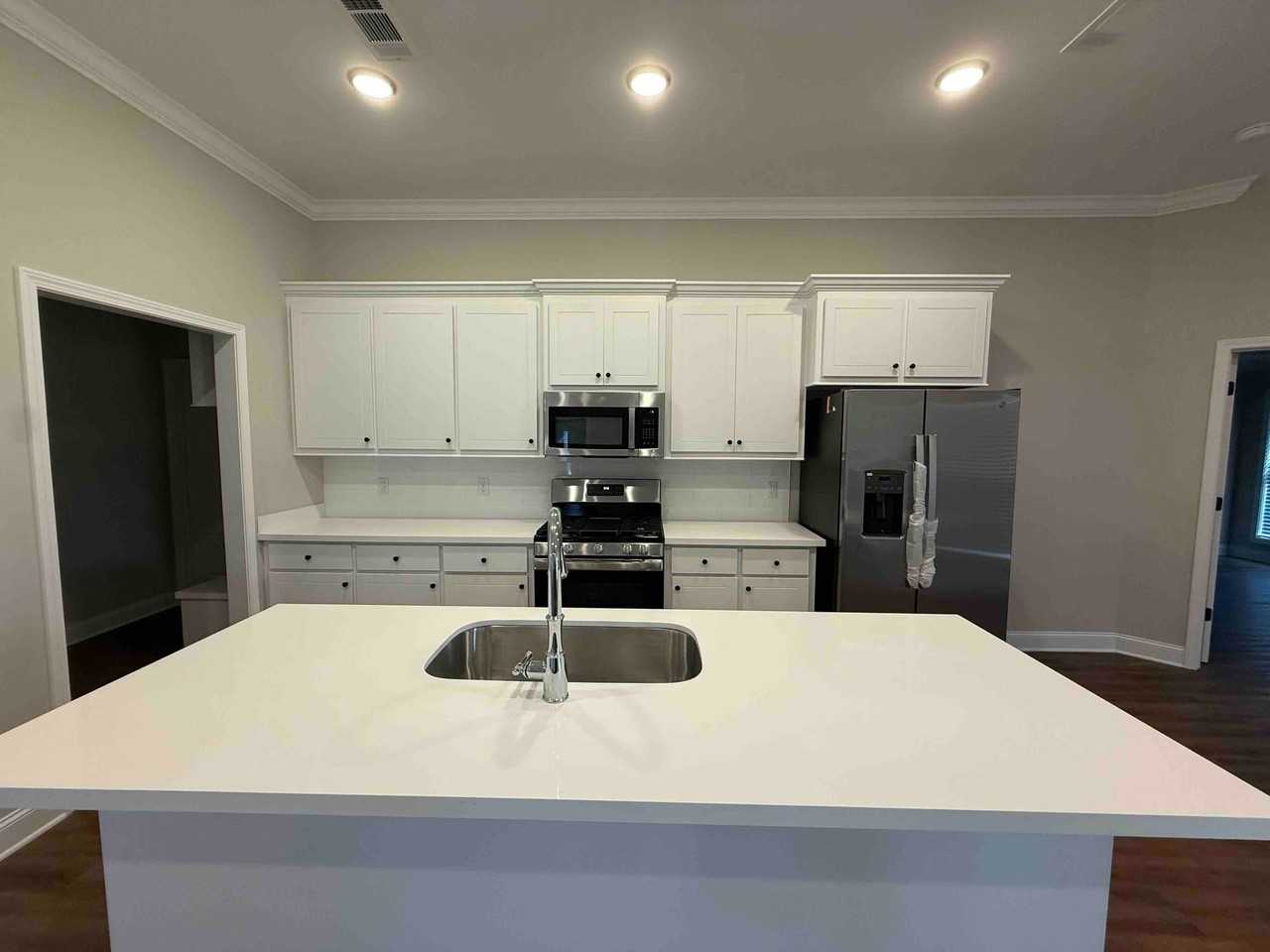 556 Patrick Farms Dr - Photo 7 of 19