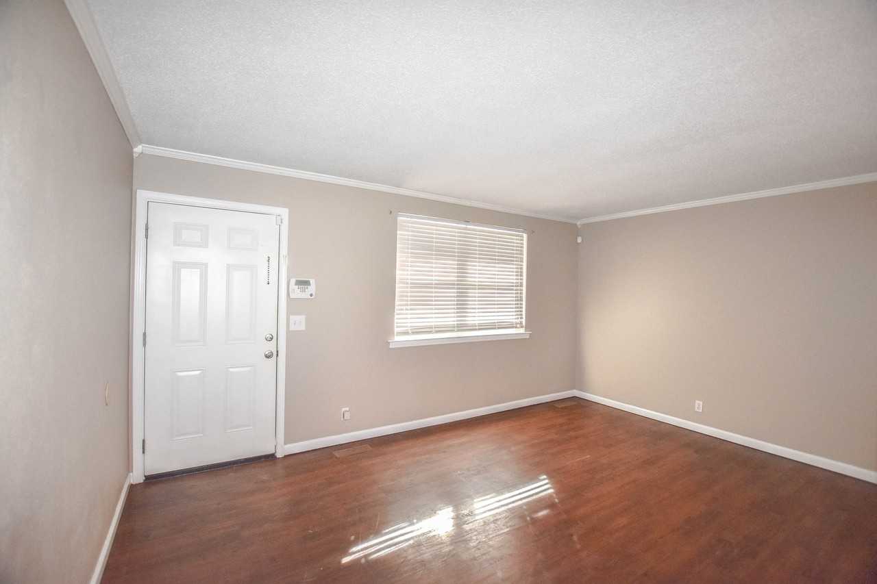 803 Lutz Ln - Photo 3 of 12