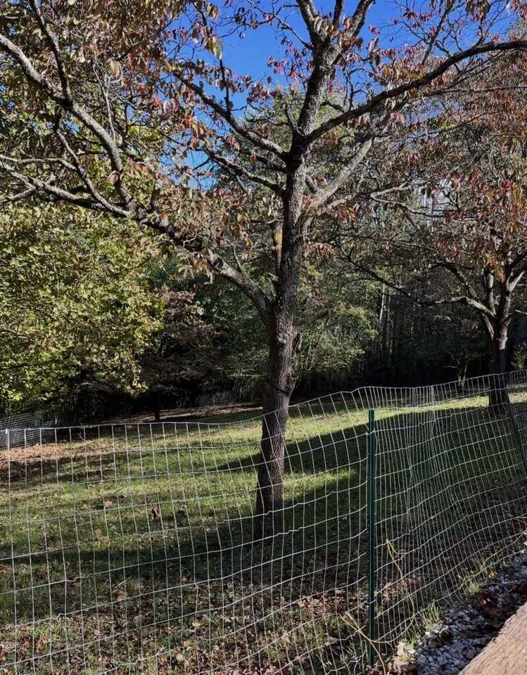 790 Belle Dowdle Rd - Photo 2 of 10