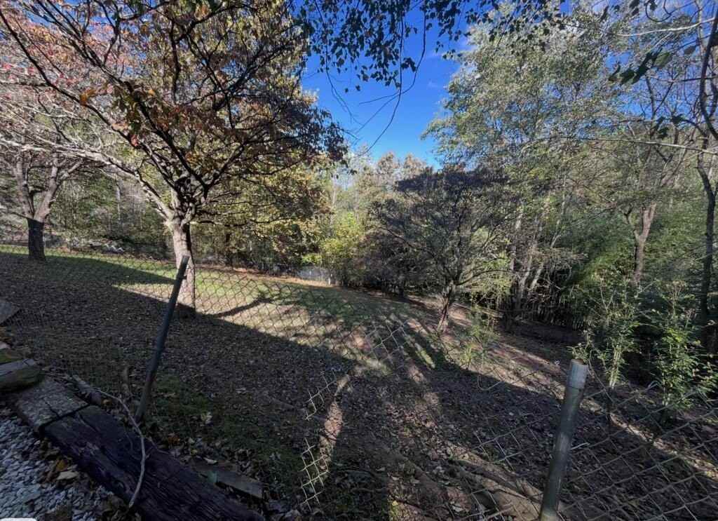 790 Belle Dowdle Rd - Photo 3 of 10