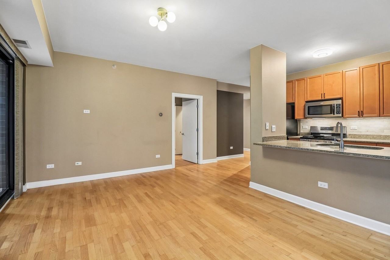 451 W Huron St #1112 - Photo 5 of 23