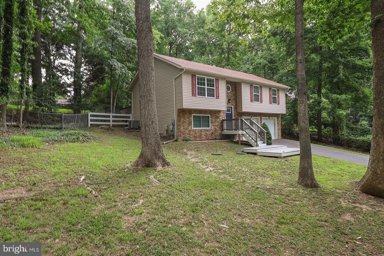 348 Little Bear Ln - Photo 4 of 50